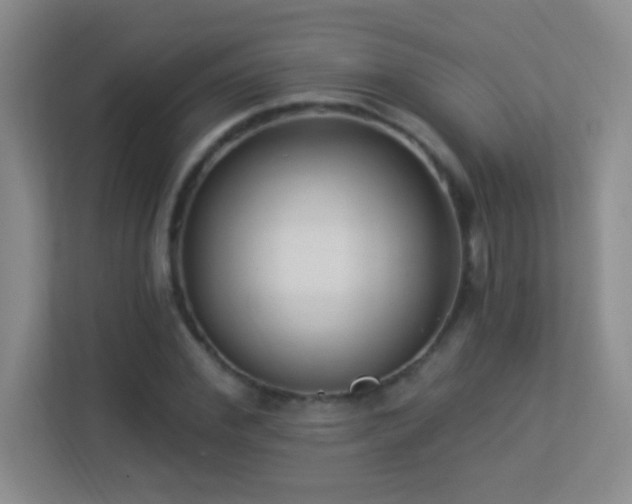 X0000113900972200909241434