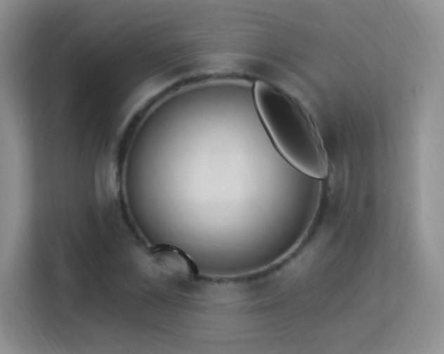 X0000113900973200909241434