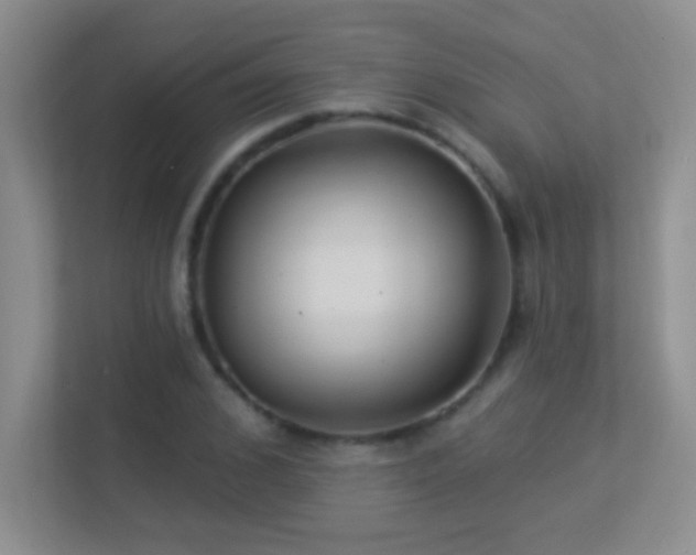X0000113900976200909241434