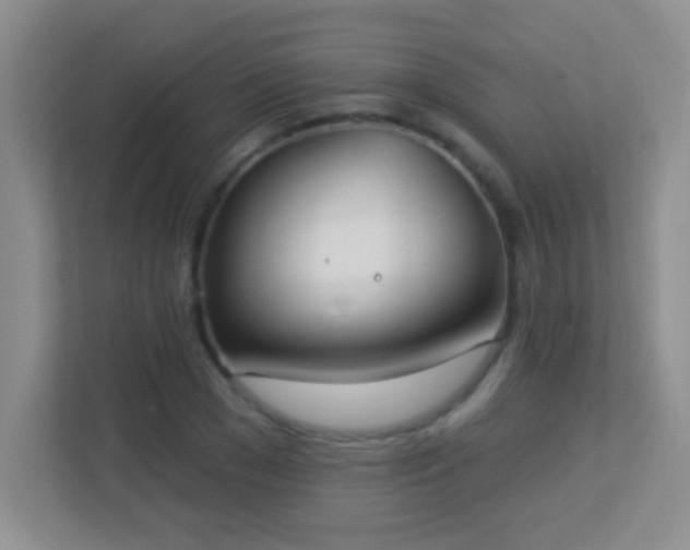 X0000113900977200909241434