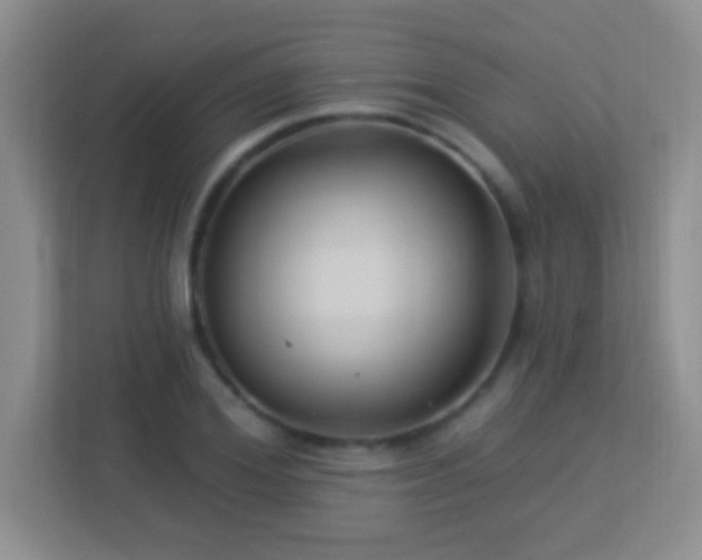 X0000113900980200909241434