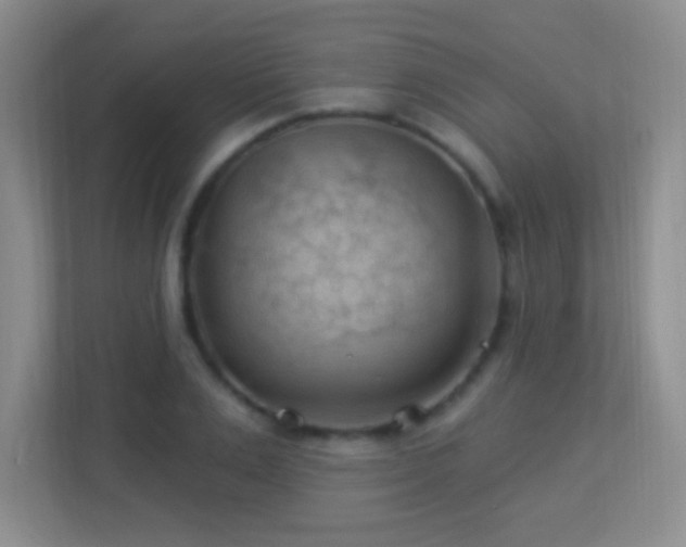 X0000113900983200909241434