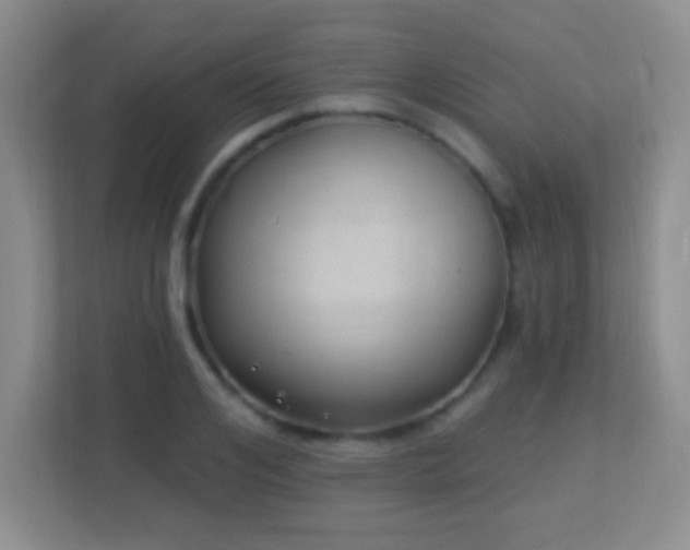 X0000113900984200909241434