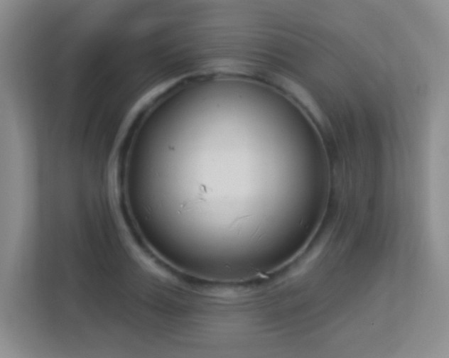 X0000113900987200909241434