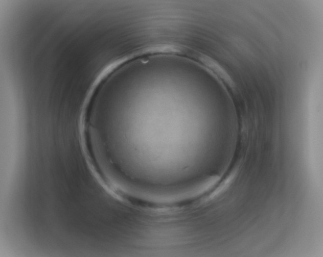 X0000113900989200909241434