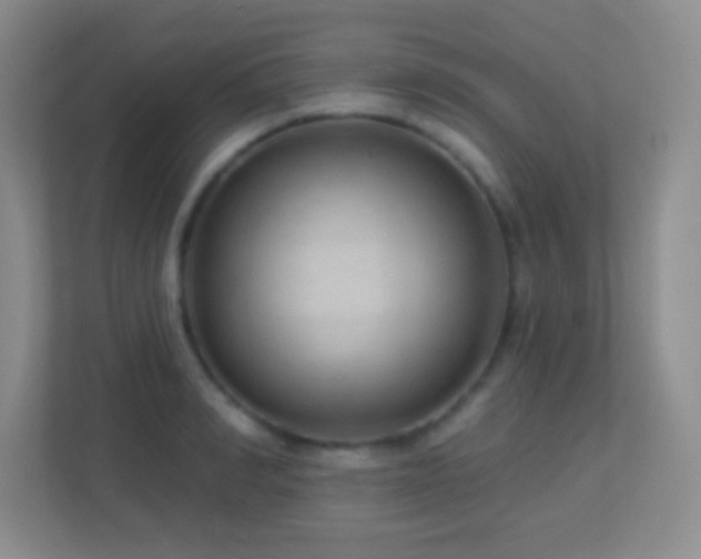 X0000113900990200909241434
