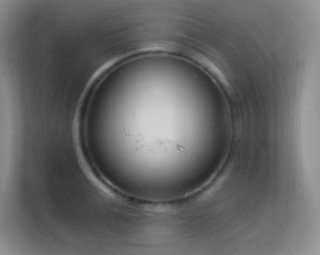 X0000113900991200909241434