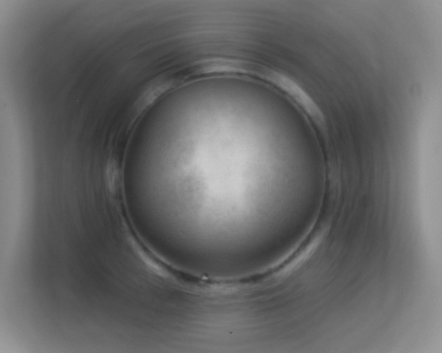 X0000113900993200909241434