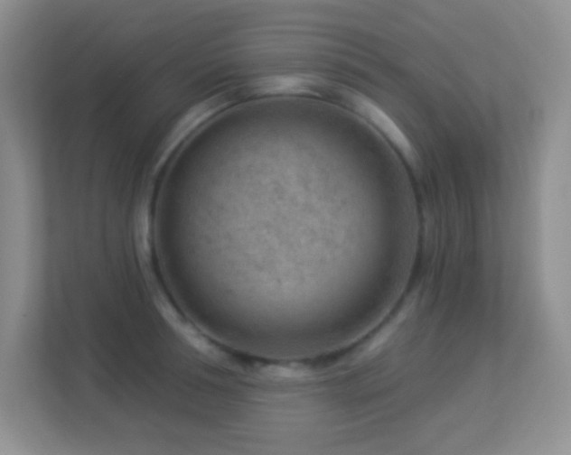 X0000113900994200909241434