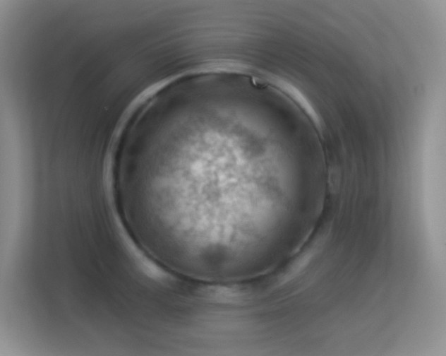 X0000113900995200909241434
