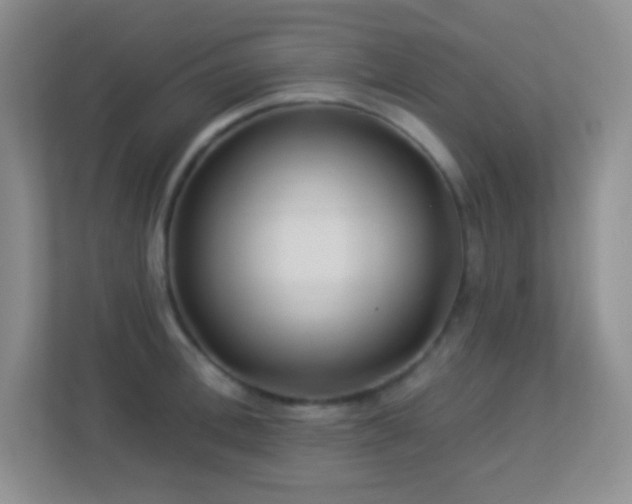 X0000113900996200909241434