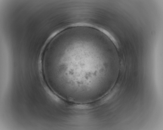 X0000113900998200909241434