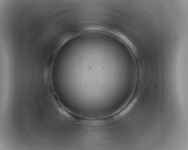 X0000113901001200909241433