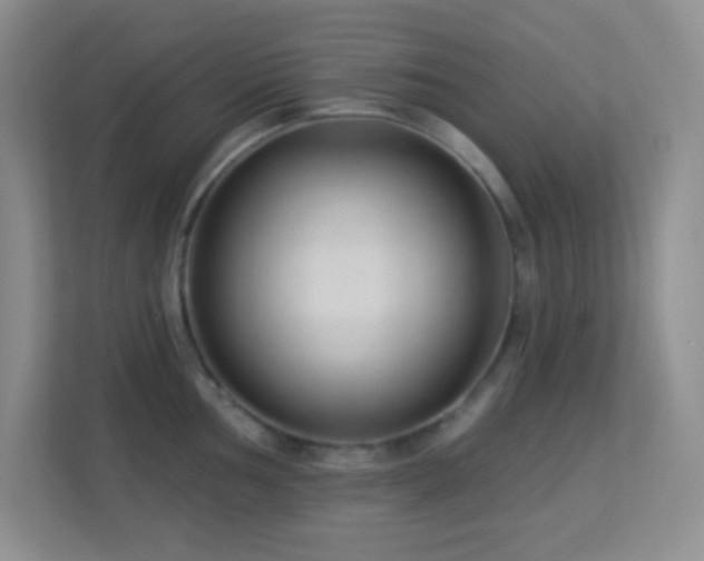 X0000113901002200909241433