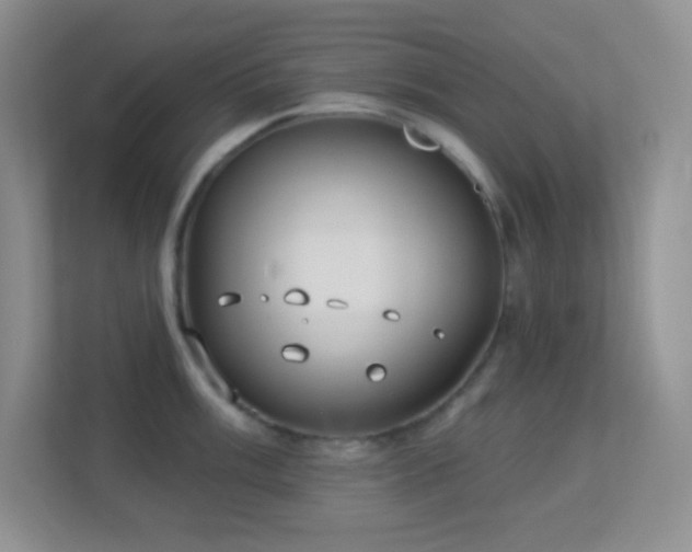 X0000113901003200909241433