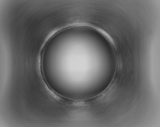 X0000113901006200909241433