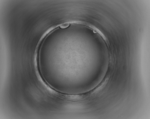 X0000113901007200909241433