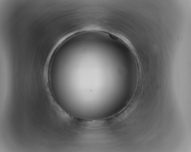 X0000113901008200909241433