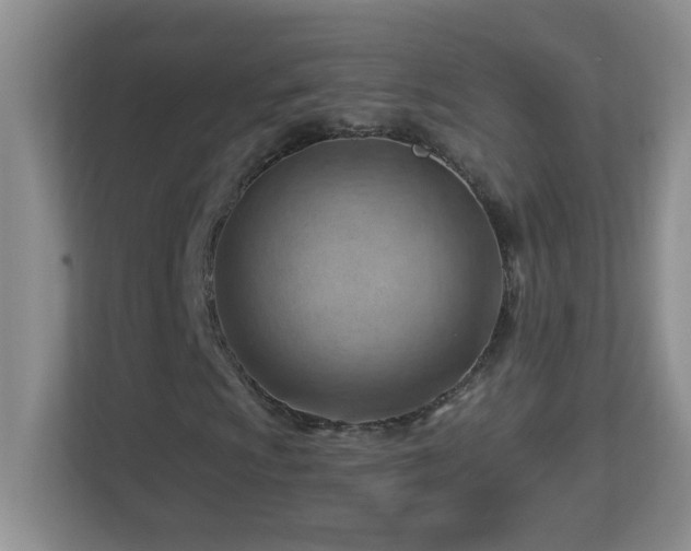 X0000113901009200909241433