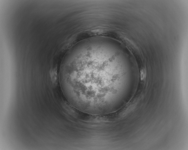 X0000113901011200909241433