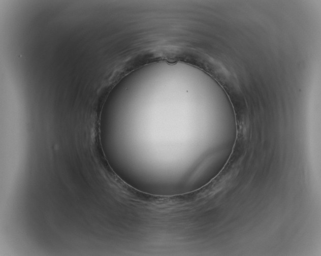 X0000113901012200909241433