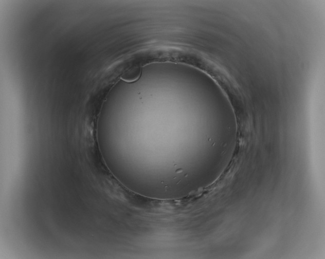X0000113901013200909241433