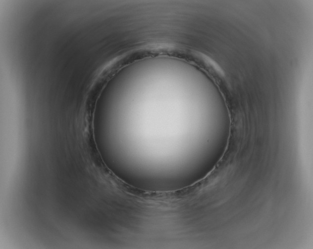 X0000113901016200909241433