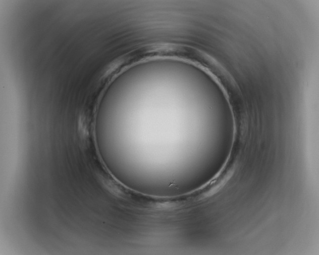 X0000113901017200909241433
