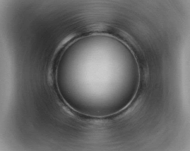 X0000113901018200909241433