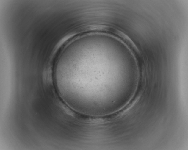 X0000113901019200909241433