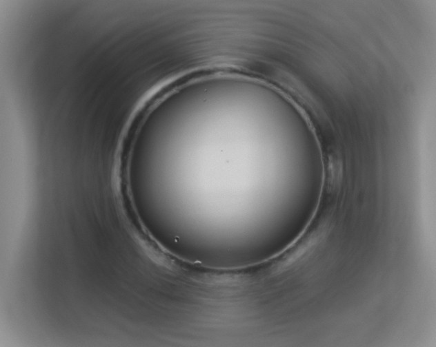 X0000113901020200909241433