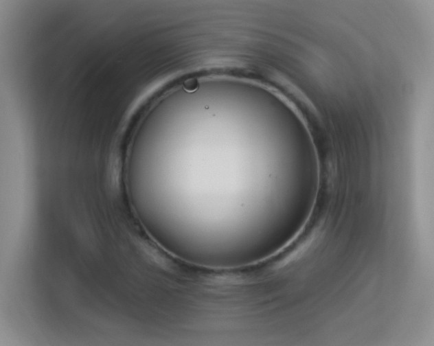 X0000113901021200909241433