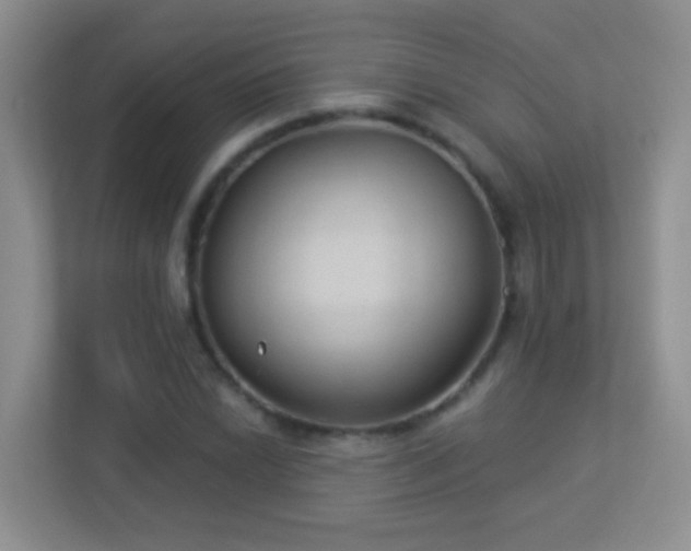 X0000113901022200909241433