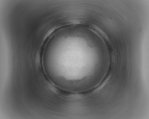 X0000113901023200909241433