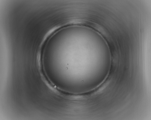 X0000113901030200909241433