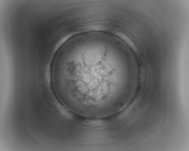 X0000113901031200909241433