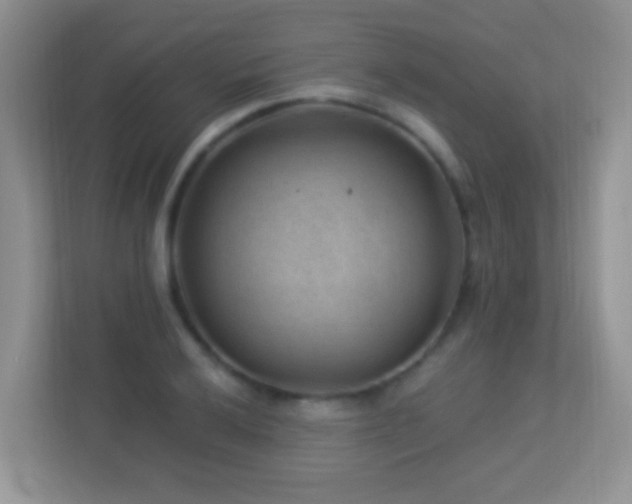 X0000113901032200909241433