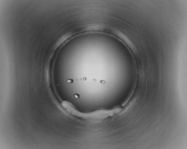 X0000113901034200909241433