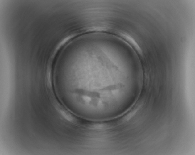 X0000113901035200909241433