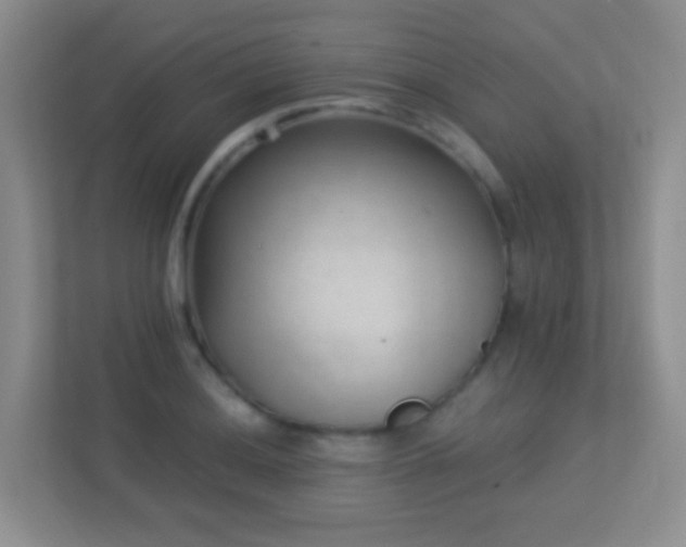 X0000113901036200909241433
