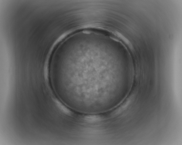 X0000113901037200909241433
