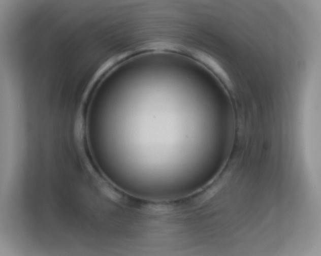 X0000113901040200909241433