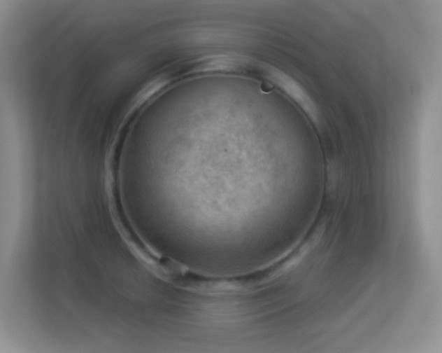 X0000113901042200909241433