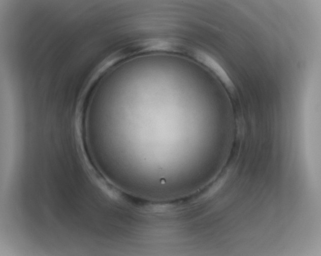 X0000113901043200909241433