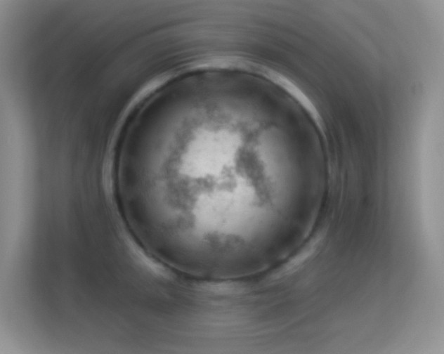 X0000113901045200909241433