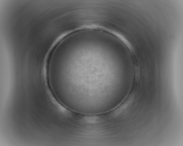 X0000113901046200909241433