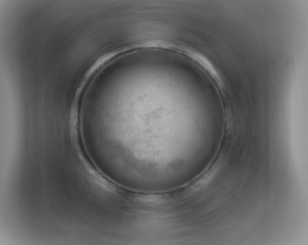 X0000113901048200909241433
