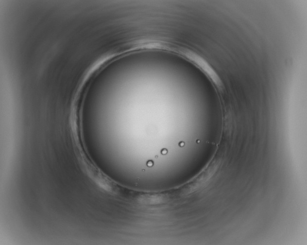 X0000113901051200909241433