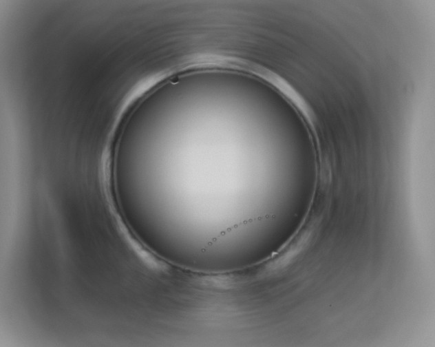 X0000113901053200909241433
