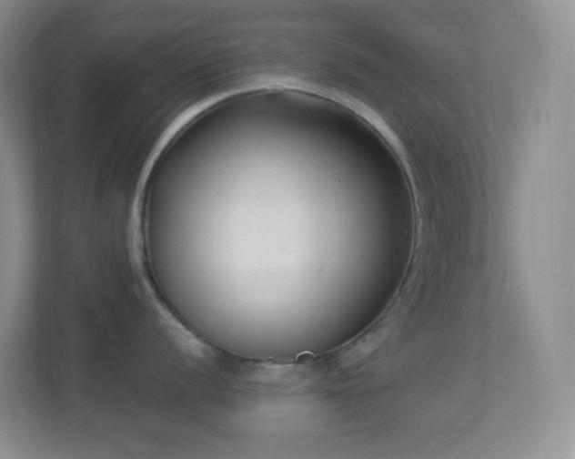 X0000113901056200909241433